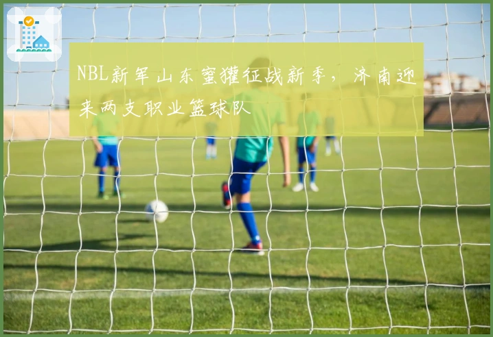 NBL新军山东蜜獾征战新季，济南迎来两支职业篮球队