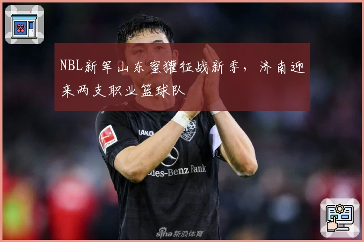 NBL新军山东蜜獾征战新季，济南迎来两支职业篮球队